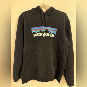 Patagonia Logo Hoody